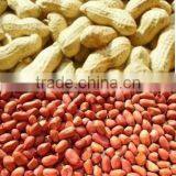 Newly Desigh Small Peanut Sheller Machine