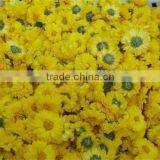 Flower Dryers / Flower Drying Machine thumbnail-3