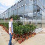 Green House for Agriculture thumbnail-3