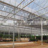 Multi-Span Agricultural Greenhouses Type and PC Shee Cover Material Agricultural Greenhouses thumbnail-4