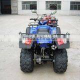 Racing Adult Utility ATV 300CC thumbnail-5