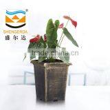 Retro Flower Pot,painted Plant Pot,plastic Square Flower Pot