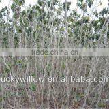 Factory Supply Wicker Deractive Wicker Gift thumbnail-5