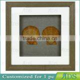 Modern Art Home Decoration Art Unique Seashell Shadow Boxes thumbnail-3