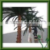 2015 Palm Branch, Artificial Palm Tree Tops, Palm Leaf Foctory Direct to You thumbnail-1