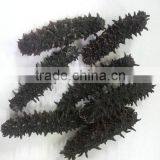 Price of Dried Sea Cucumber for Chinese Foods , Paid Sample Also Available thumbnail-1