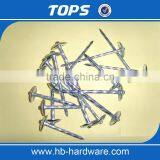 China Twisted/Smooth Shank Umbrella Head Roofing Nails Factory thumbnail-2
