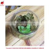Artificial Table Decoration Small Plants Preserved Plant for Office Decoration Artificial Mini Bonsai Decoration thumbnail-1