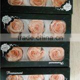 Everlasting Rose A Grade 6 to 7 cm Preserved Rose From Yunnan thumbnail-5