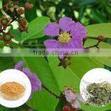 Banaba Extract thumbnail-2