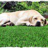 #306814 Pet Artificial Grass supplier