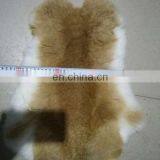 Online Wholesale Shop Rabbit Fur Skins and Rabbit Skins for Plate, for Garment thumbnail-3