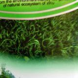The Supply of China's Advanced Green Tea, Enshi Natural Selenium, Selenium Rich Tea, Health Tea, From the East of a Uniq thumbnail-2