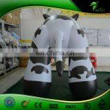 Vivid Interesting Commercial Inflatable Dairy Cow, Inflatable Milk Cow for Advertising and Promotion thumbnail-5