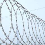 Blade Razor Wire thumbnail-3