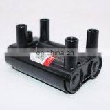 Professional Manufactory Of High Performance Gasoline Generator Parts Cheap Ignition Coil LH-1233 19005270 thumbnail-5
