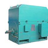 Reliable Supplier High Voltage Simo Motor Made in China thumbnail-2