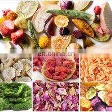 SUS 304 Fruit and Vegetable Lyophil Alimentair Freeze Dry Lyophilization Machine Price thumbnail-3