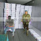 Fresh Kelp Knot,Laminaria Cut thumbnail-6