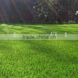Natural Looking Artificial Grass Turf With Happy Price for Patio and Residents thumbnail-1
