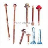 China Screw Manufacture Stainless Steel Deck Screw thumbnail-4