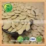 Shine Skin Pumpkin Seeds Greenhouse thumbnail-2