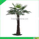 500cm High Bend Artificial Fake Washingtonia Palm Tree thumbnail-4