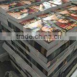 High Quality China Ybj Printing Glossy Magazine Printing
