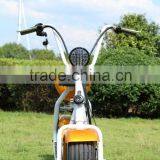 60V/12AH 20AH Li-ion Battery Electric Scooter 800w Citycoco Scooter thumbnail-5