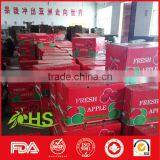 Fresh Fuji Apple Fruit for Sale From China Wholesale Distributors thumbnail-5