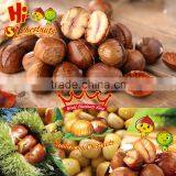 Ready to Eat Ringent Chestnuts Wholesale Packaged OEM Snacks thumbnail-4