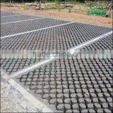 Lyine High Load Cast Concrete Floor Grass Arts Die and Grass Parking thumbnail-4