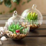 Hot Sale Elegant Orb Air Plant Glass Terrarium