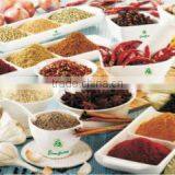 Evergreen Exports company overview - view 3 thumbnail