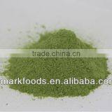 Dehydrated Young Barley Leaves Powder