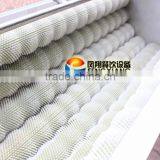 New Condition High Efficency Lotus Root Washer and Peeler (CE Approved) MSTP-500 thumbnail-4