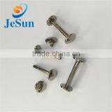 Good Quality Low Price Rivet Screw,machine Screw thumbnail-1