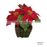 Potted Christmas Flower thumbnail-1