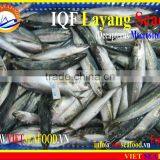 IQF LAYANG SCAD WHOLE ROUND thumbnail-1