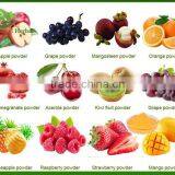 Fruit Juice in Sachet thumbnail-2