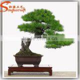 2015 Guangzhou Professional Supplier Make Artificial Pine Bonsai Tree for Sale thumbnail-5