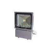 Outdoor IP65 Aluminum Alloy 100 Watt AC 110 - 250V Led Flood Lighting Fixtures 50 / 60Hz