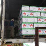 Factory Price Premium Tomato Paste in Pouch/Sachet thumbnail-3