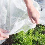 Plant Protection Fleeces CHINA thumbnail-1