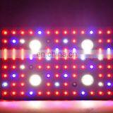 Meizhou Suppliers Factory Price Led Plant Grow Light for Indoor Garden thumbnail-4