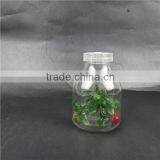 Tissue Culture Vessels & Glass Jars & Experiments With Glass Bottles thumbnail-1