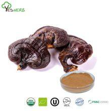 Reishi Extract