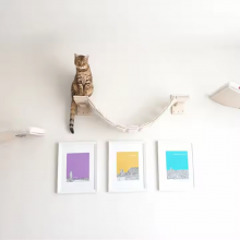 Meow Love Home Luxury Pet Cat Climbing Track Modern Wall Frame Multi-Functional Toy Exercise thumbnail-2