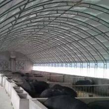 Black White Greenhouse Film Light Deprivation Poly Film Agriculture Blackouts Film thumbnail-2