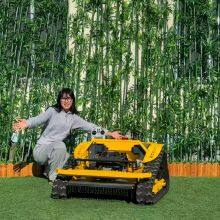 Agriculture Gasoline Cordless Remote Control Grass Cutting Lawn Mower PLC 200M Range 600MM Cutting Width Euro5/EPA Compliant thumbnail-1